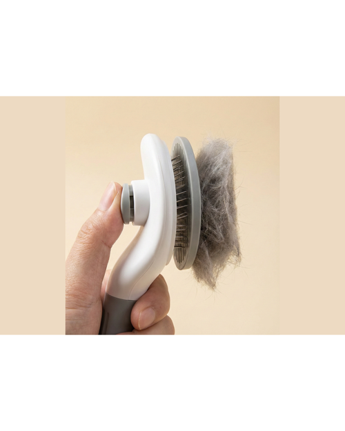 Brosse pour chien et chat