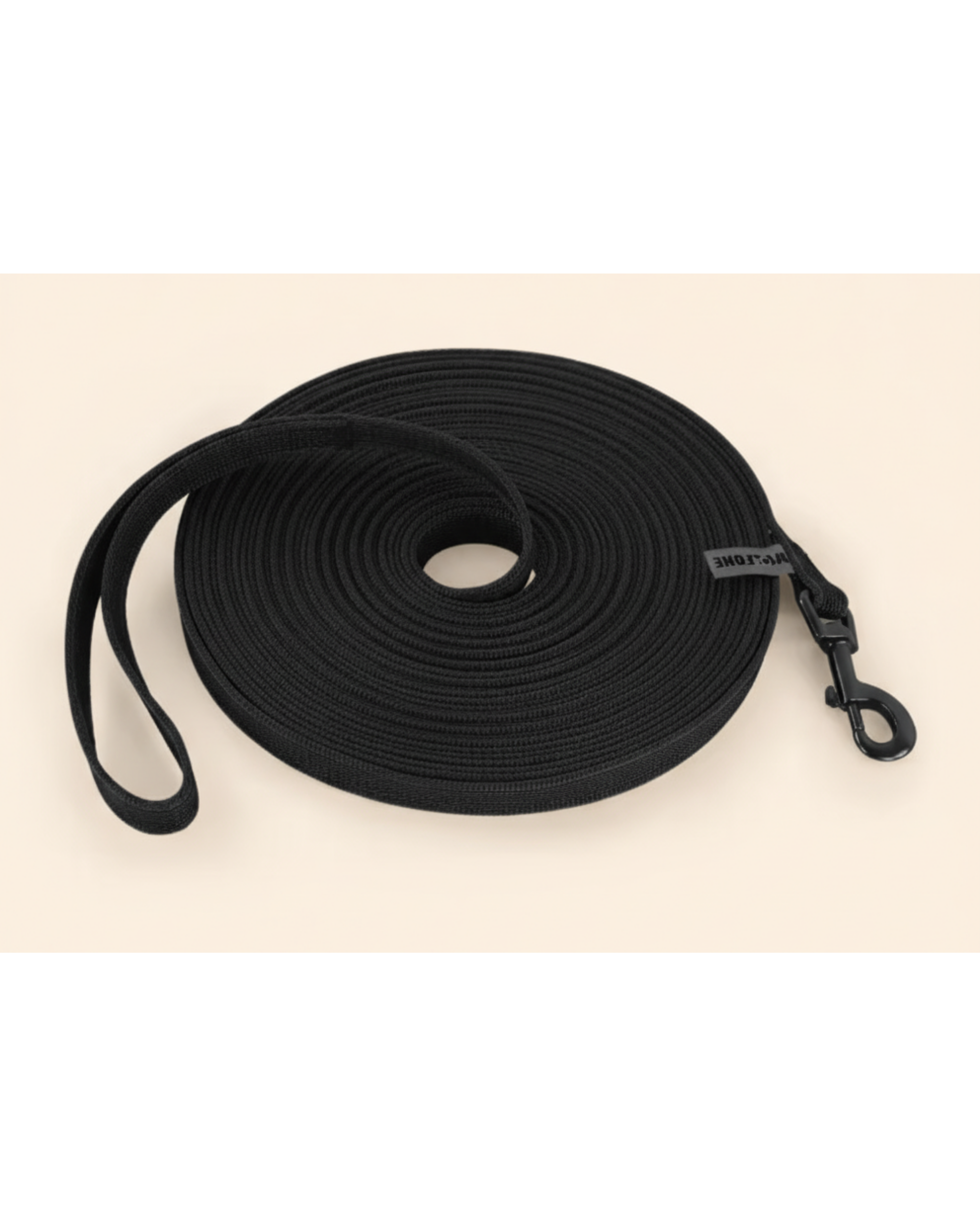 Laisse pour chien bicolore