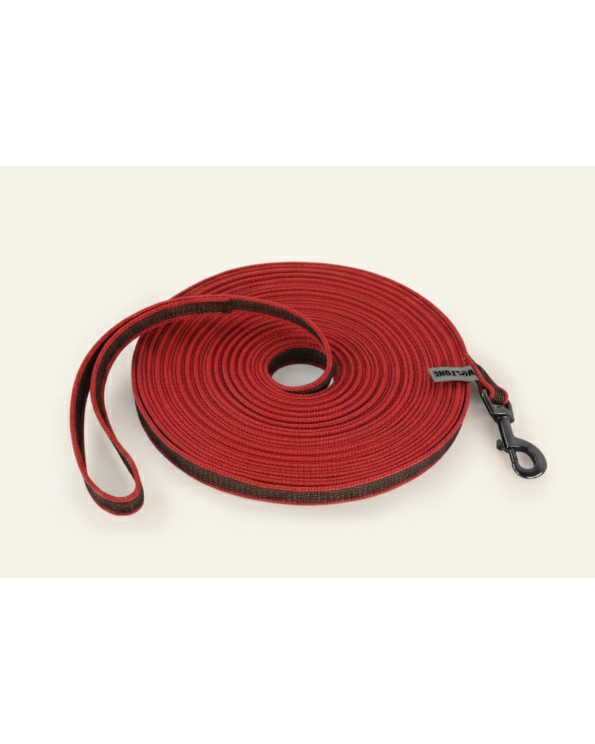 Laisse pour chien bicolore