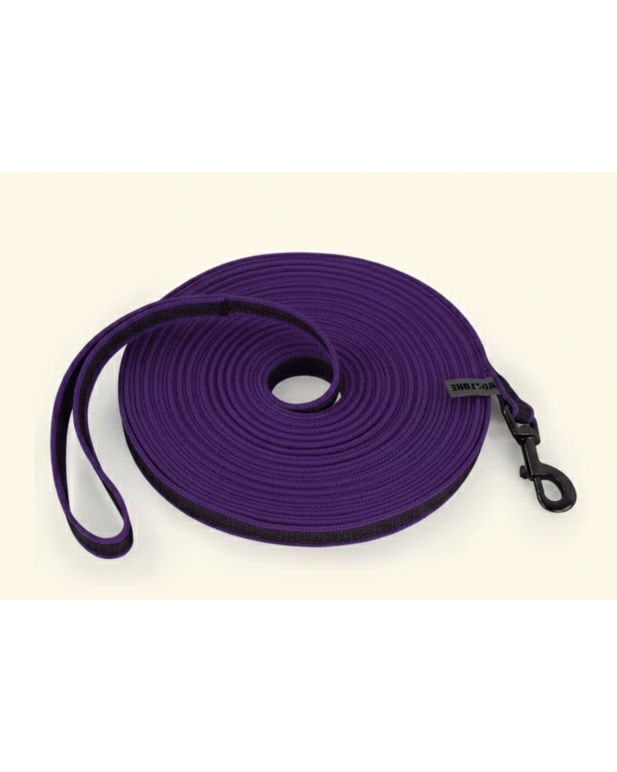 Laisse pour chien bicolore