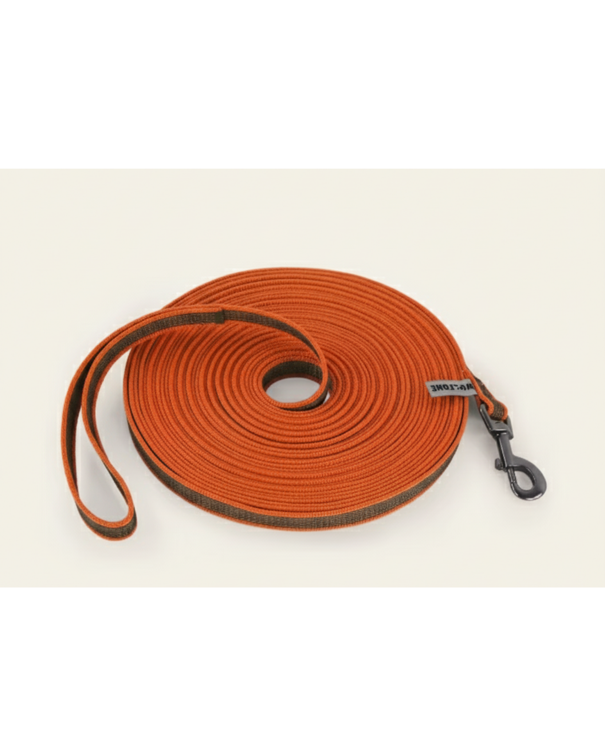 Laisse pour chien bicolore