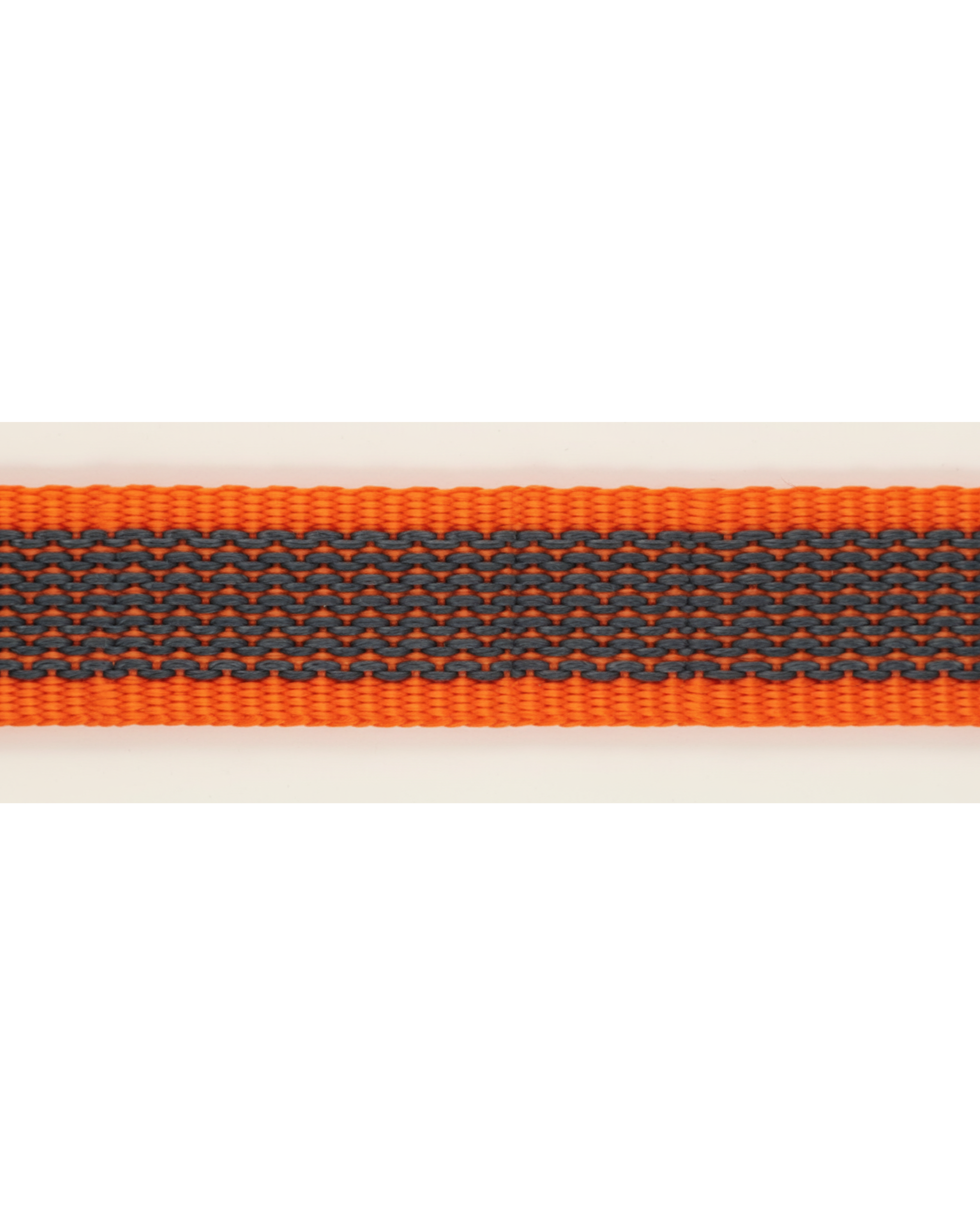 Laisse pour chien bicolore