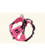 Harnais pour chien