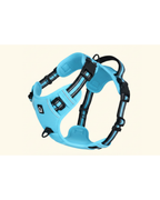 Harnais pour chien