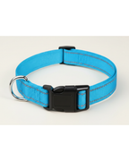 Collier pour chien