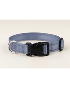 Collier pour chien