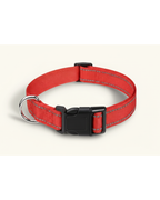 Collier pour chien