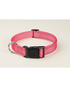 Collier pour chien