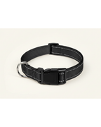 Collier pour chien