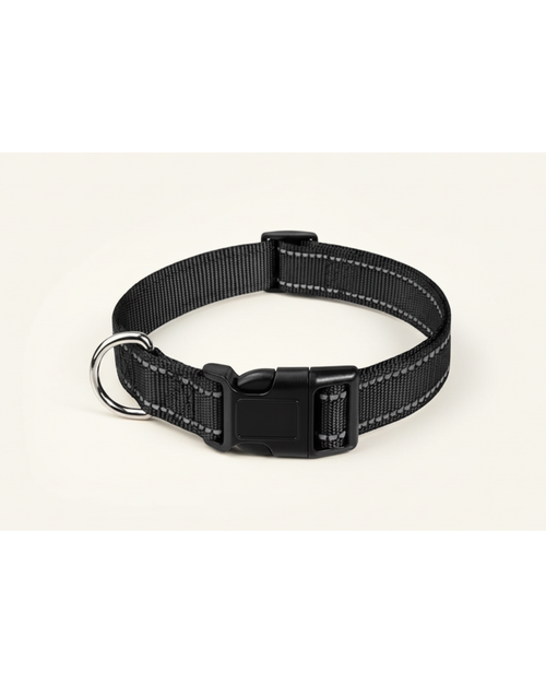 Collier pour chien