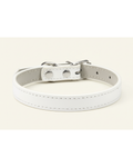 Collier pour chien et chat