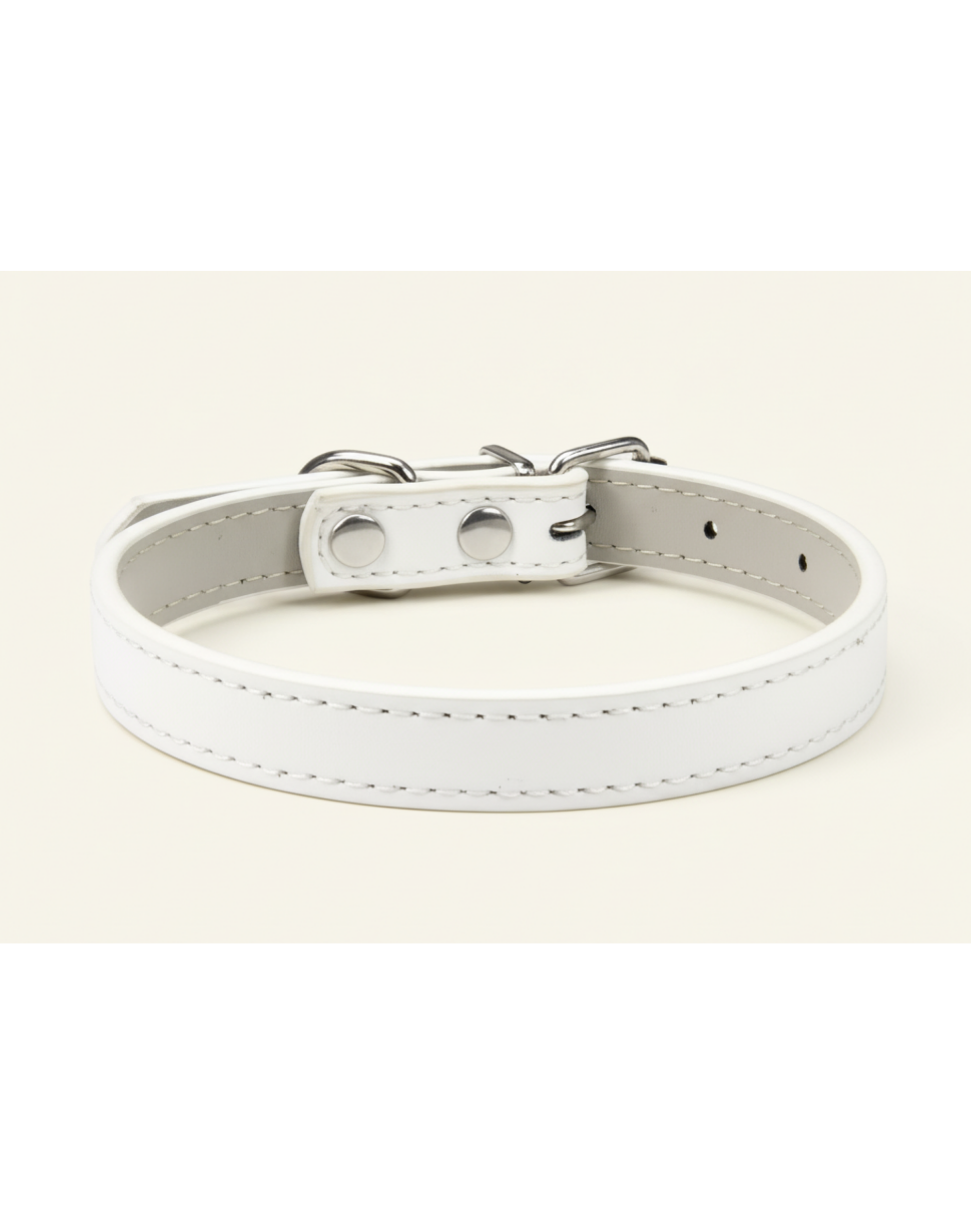 Collier pour chien et chat