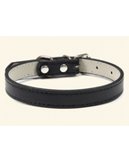 Collier pour chien et chat