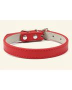Collier pour chien et chat