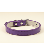 Collier pour chien et chat