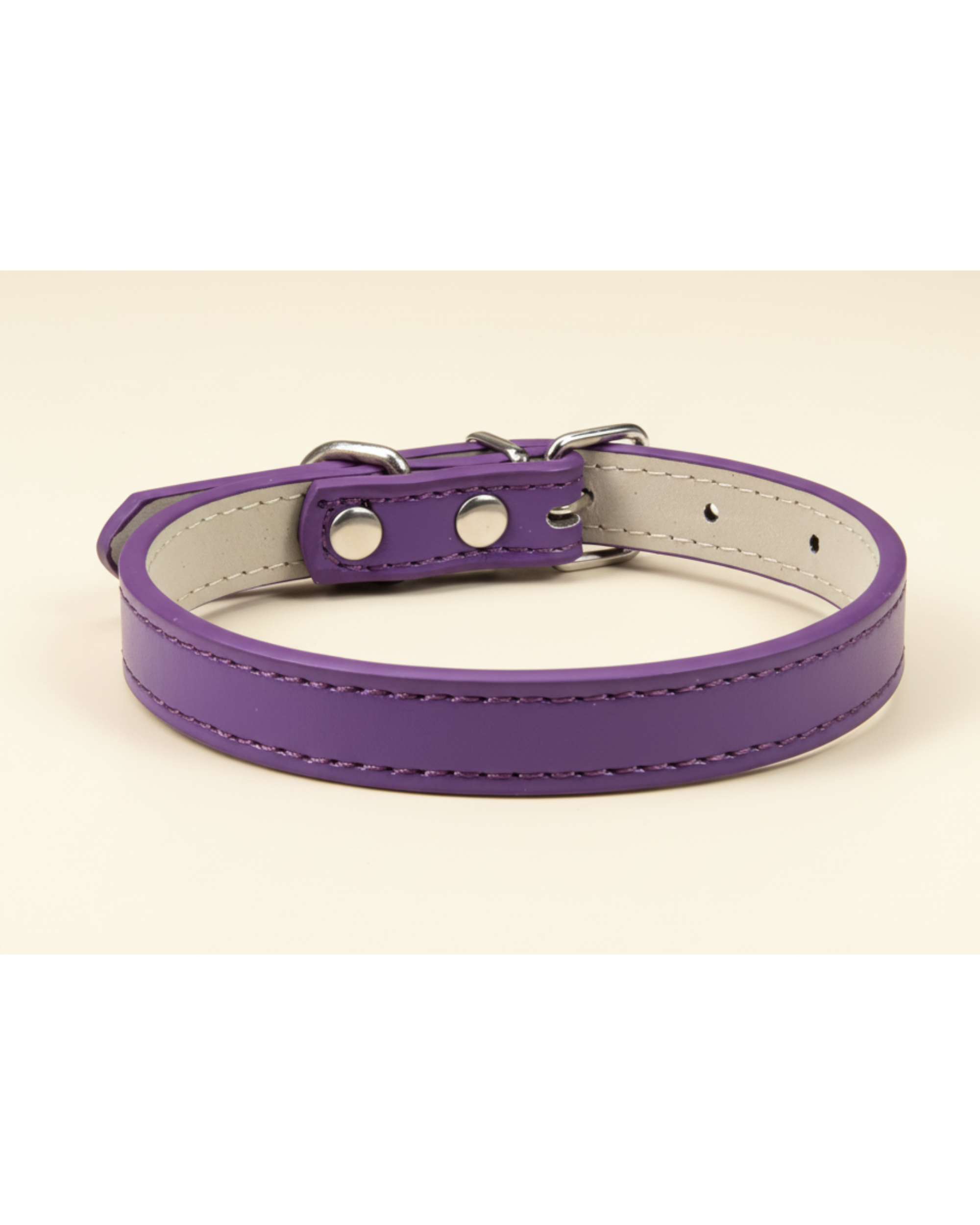 Collier pour chien et chat