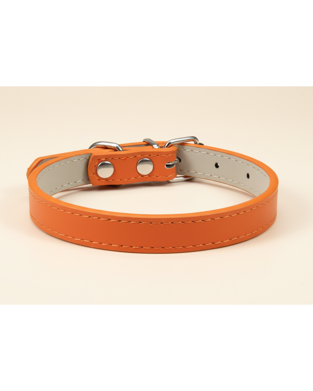 Collier pour chien et chat