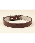 Collier pour chien et chat