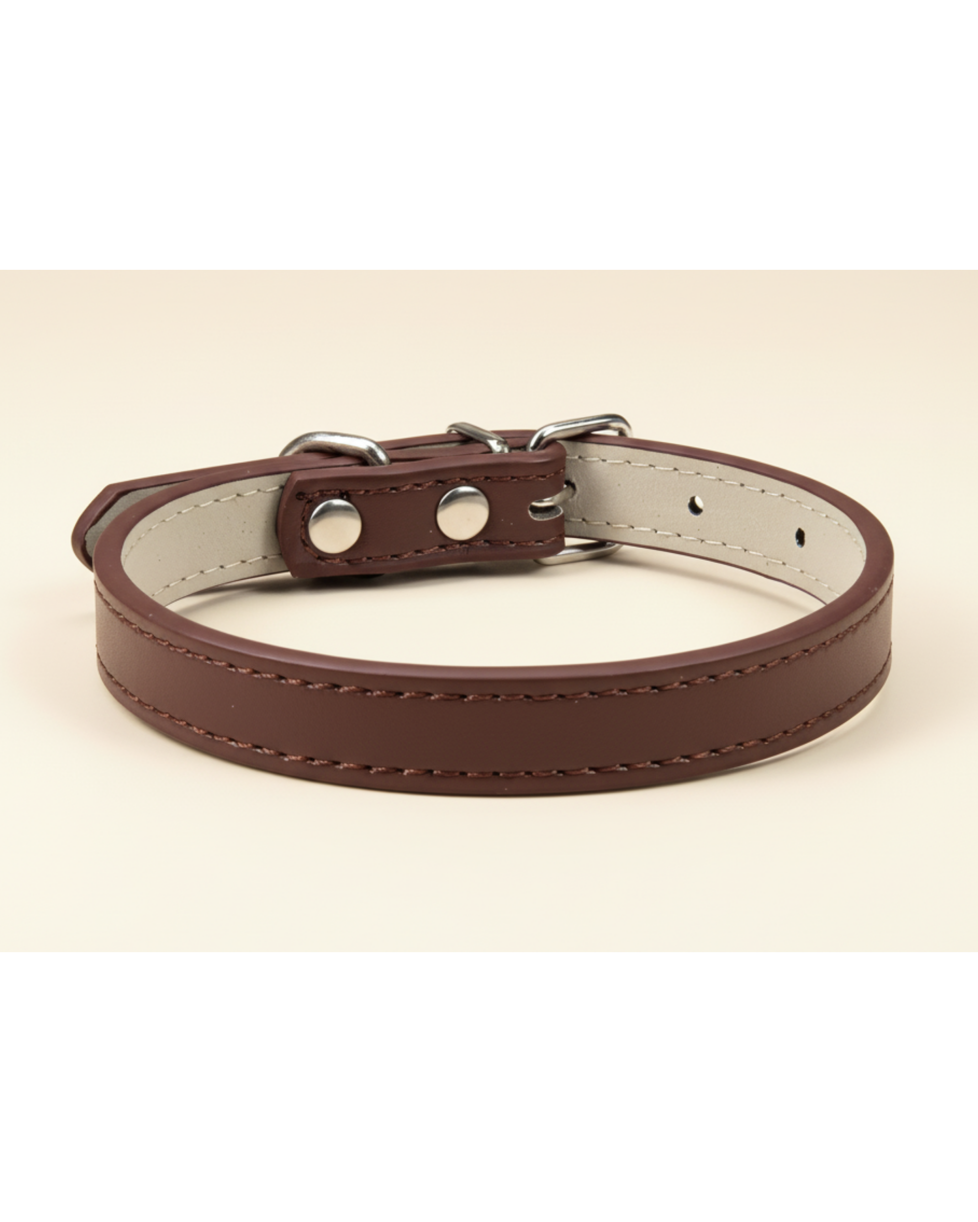 Collier pour chien et chat
