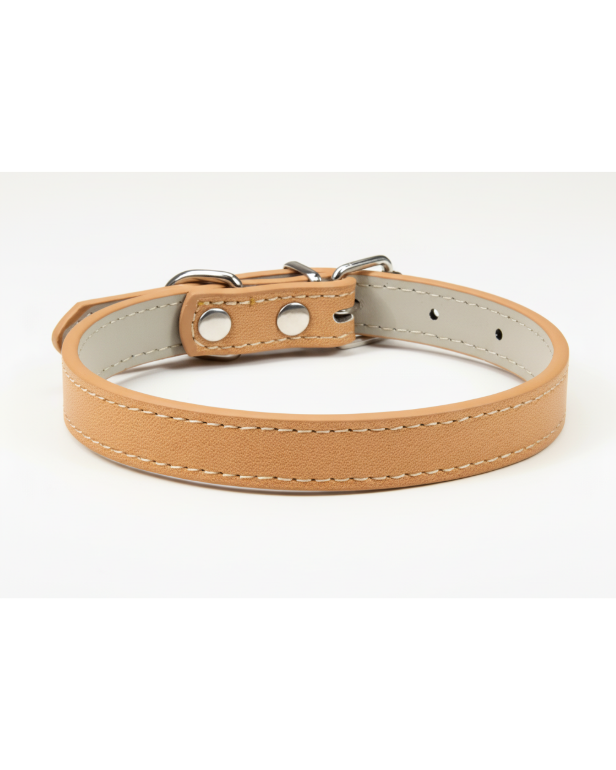 Collier pour chien et chat