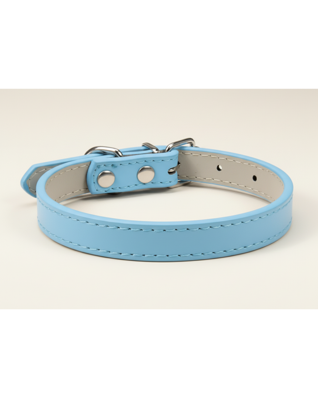 Collier pour chien et chat
