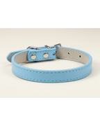 Collier pour chien et chat